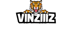 Vinziiiz